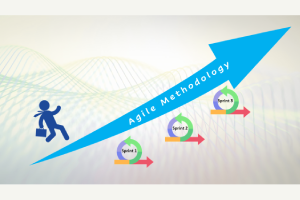 Agile Methodology ARAS PLM Journey